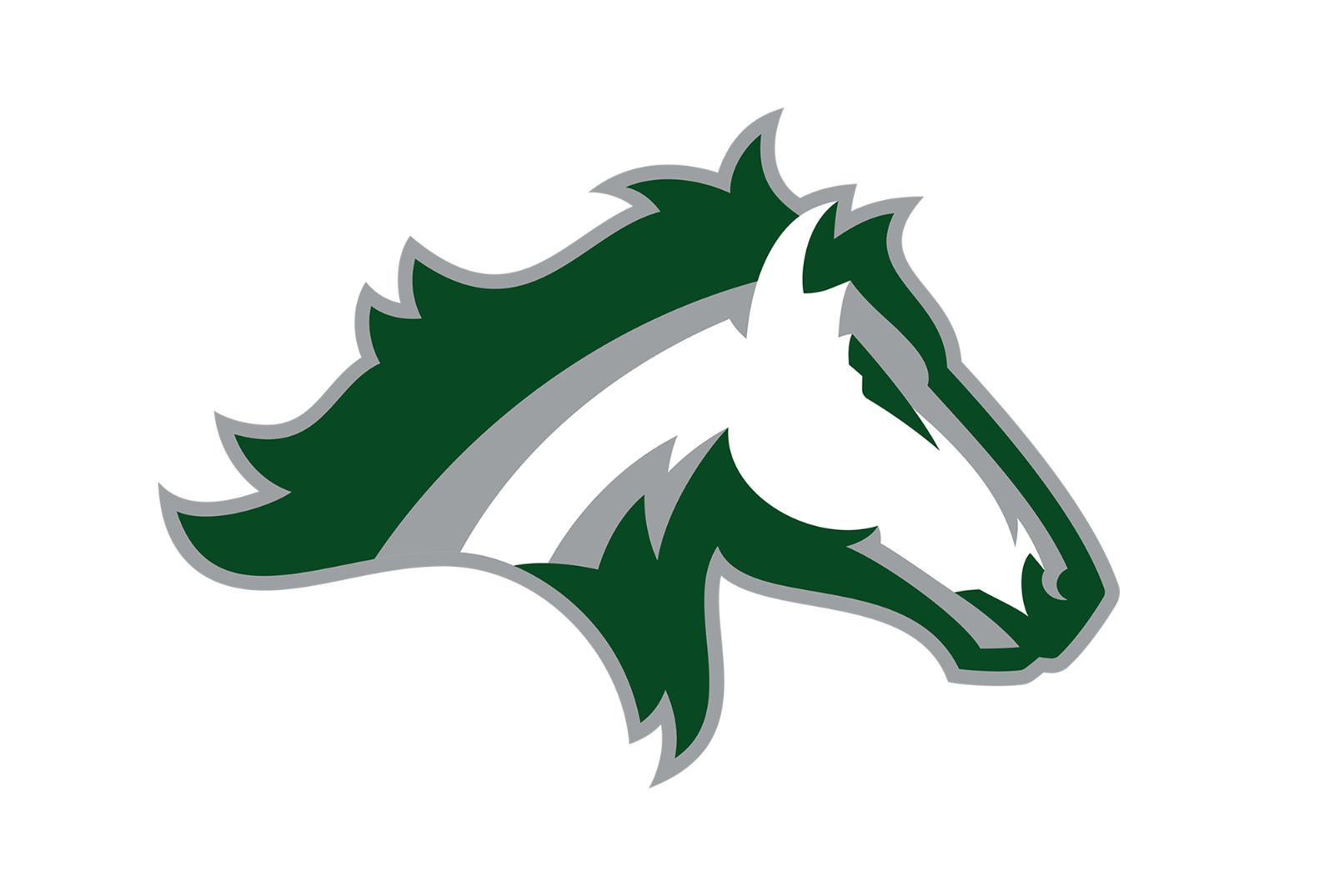 Kennesaw Mountain Mustangs Logo